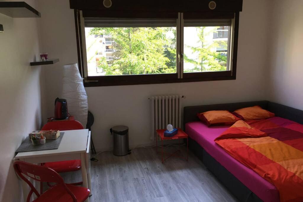 Studio Proche Du Lac-Triangle D'Or Apartment Annecy Ngoại thất bức ảnh